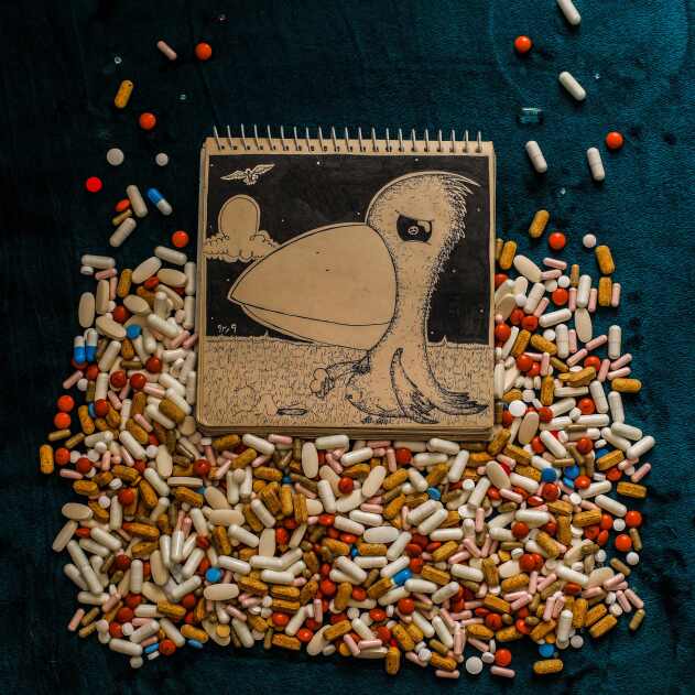 Painting & Illustration